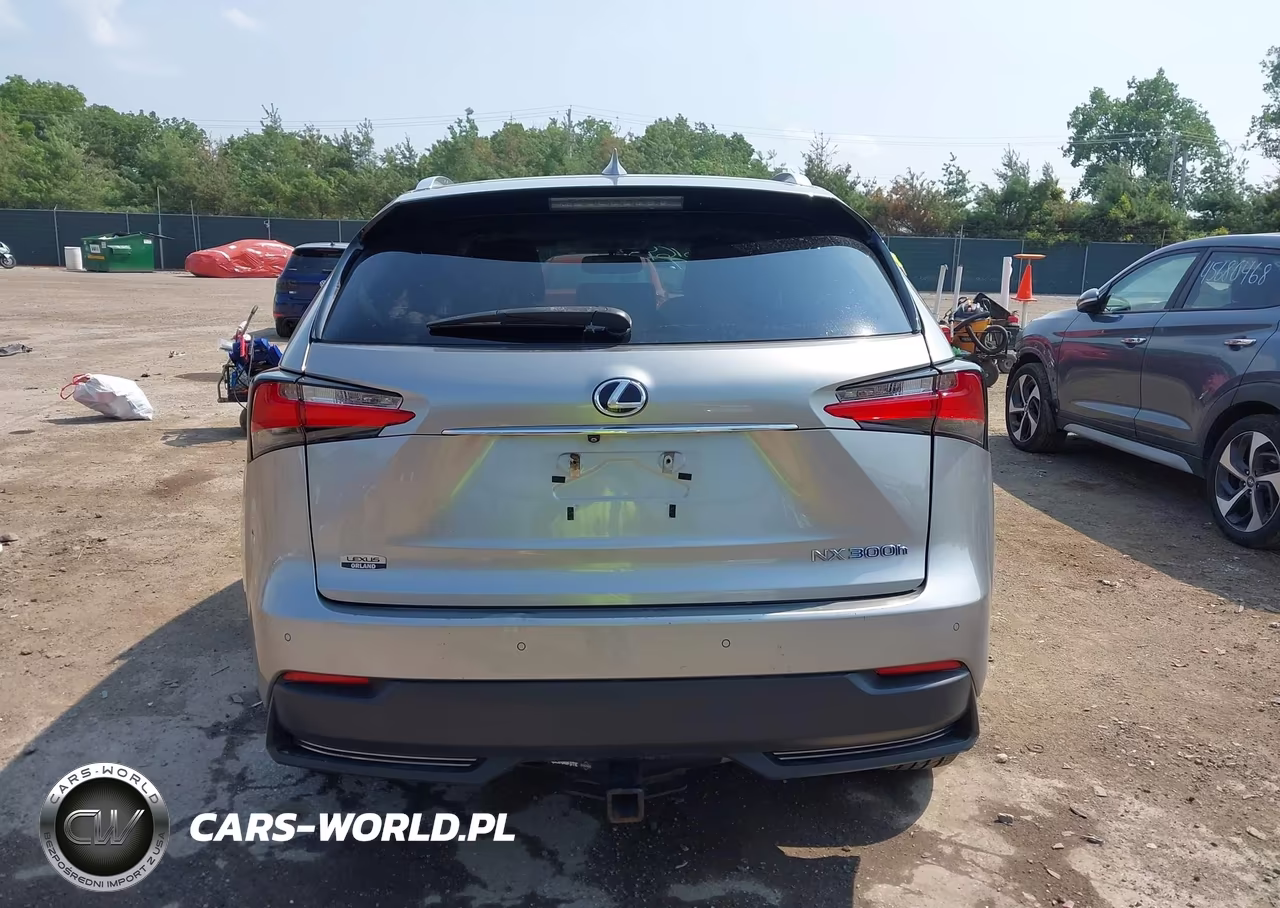2017 Lexus Nx 300H VIN:JTJBJRBZ9H2055758 - 16