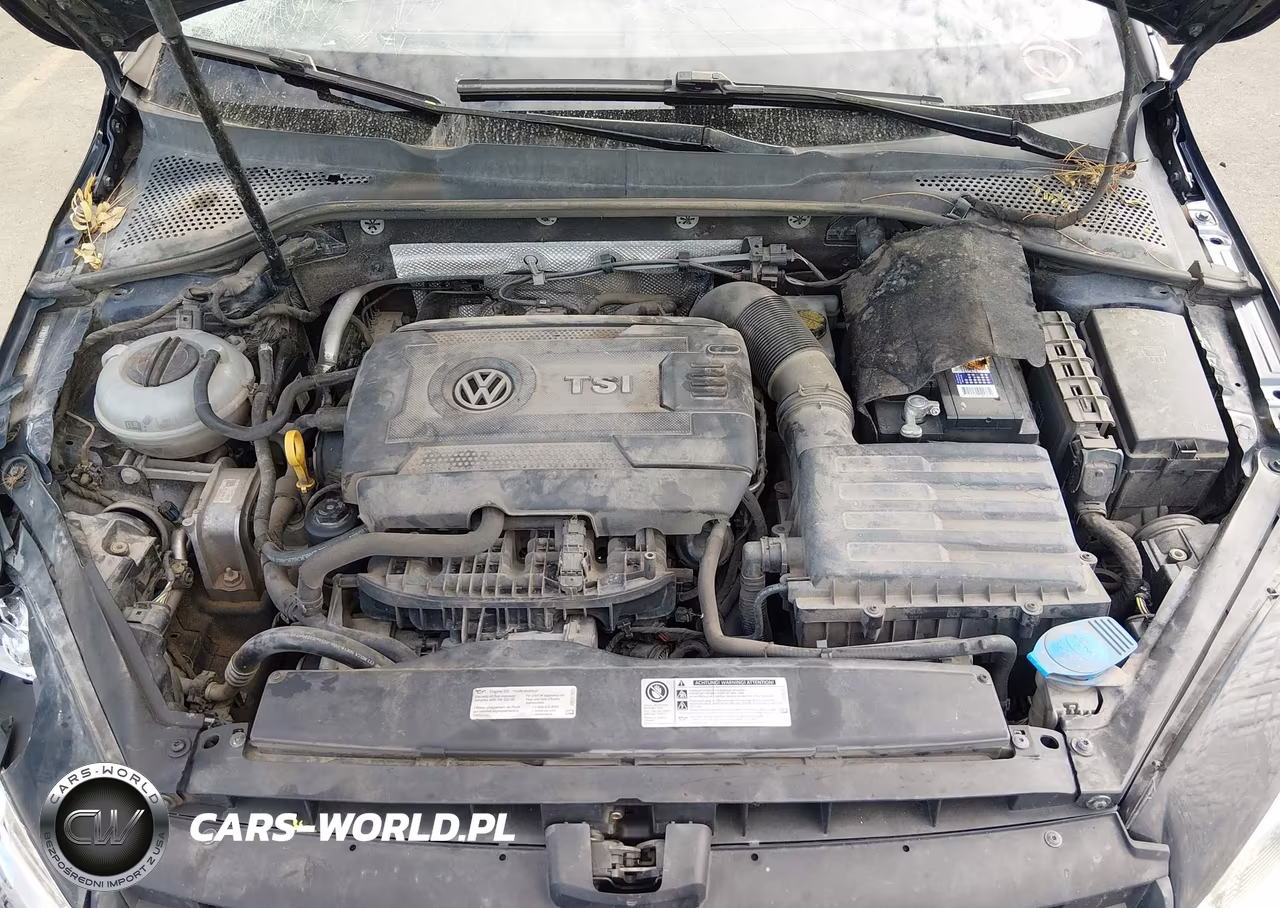 2017 Volkswagen Golf Sportwagen Tsi S VIN:3VW017AU8HM509198 - 10