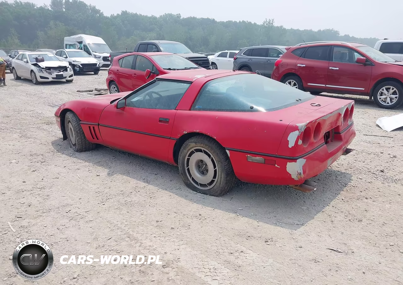 1984 Chevrolet Corvette VIN:1G1AY0785E5111896 - 3