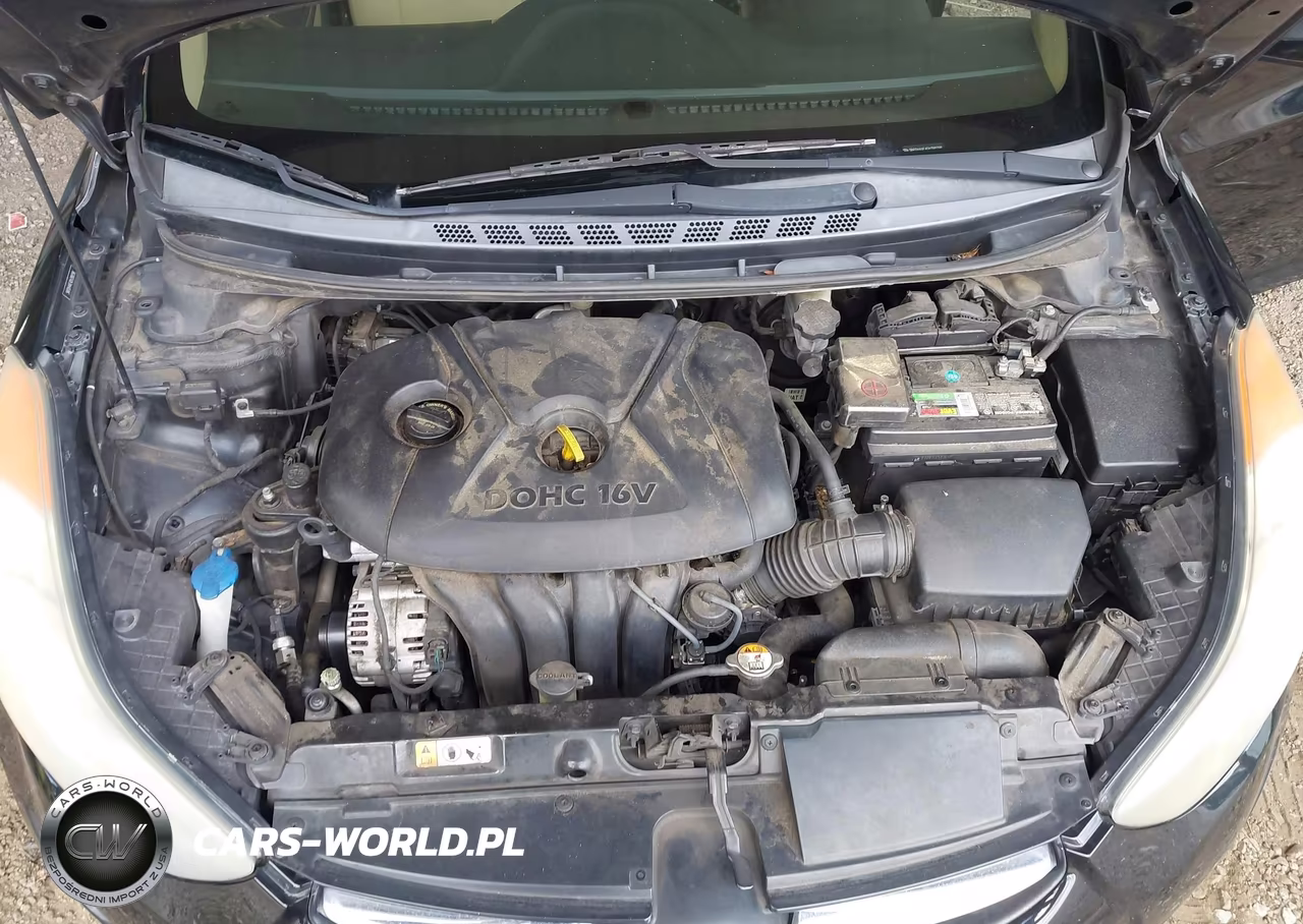 2013 Hyundai Elantra Gls VIN:5NPDH4AE4DH398298 - 10