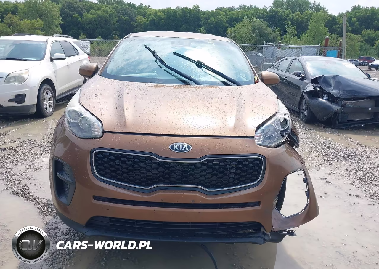 2019 Kia Sportage Lx VIN:KNDPM3AC3K7622020 - 11