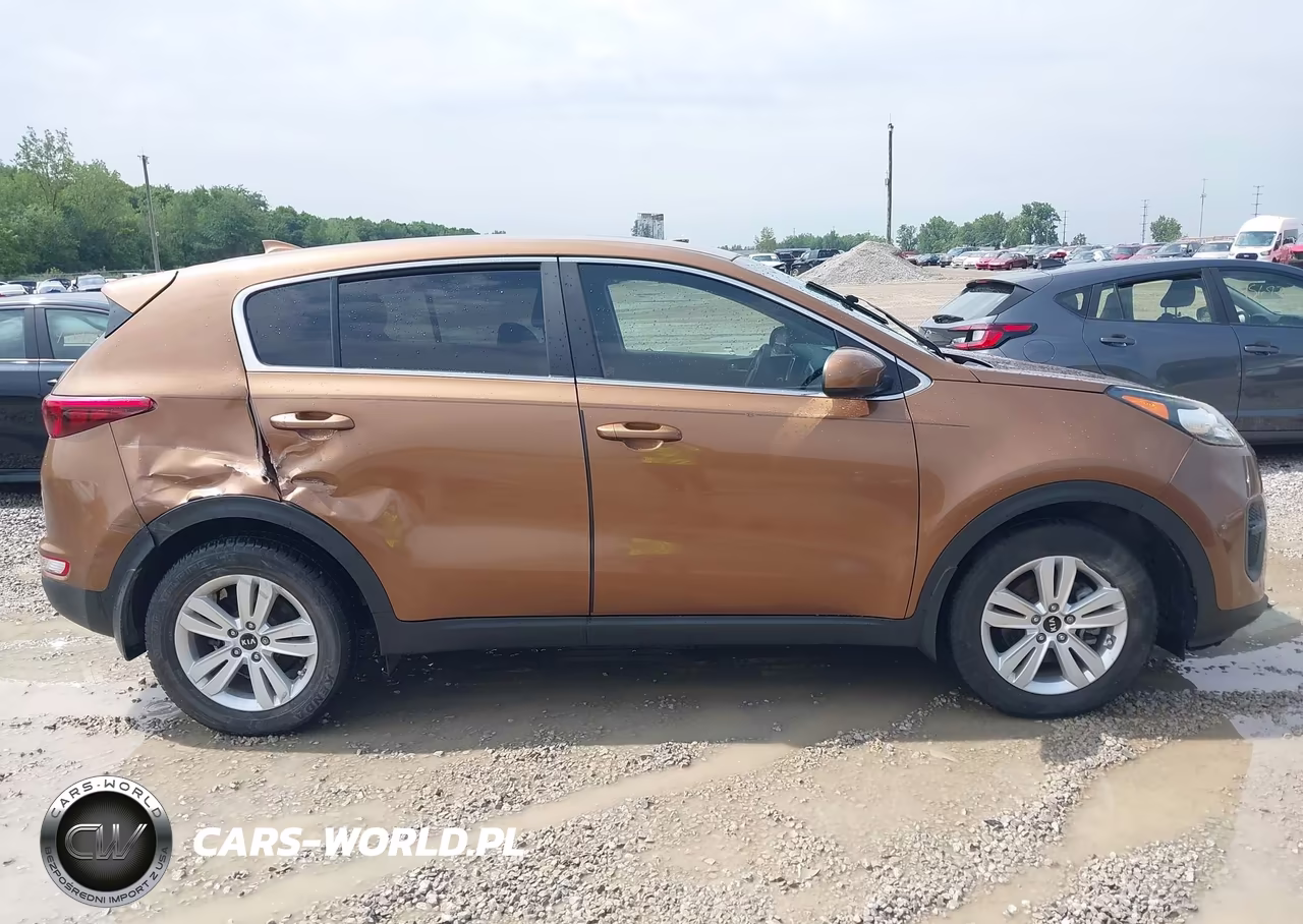 2019 Kia Sportage Lx VIN:KNDPM3AC3K7622020 - 12