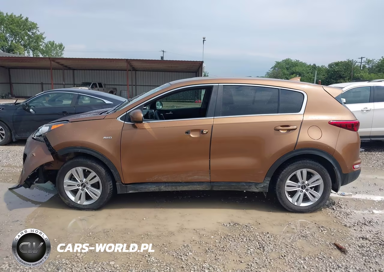 2019 Kia Sportage Lx VIN:KNDPM3AC3K7622020 - 13