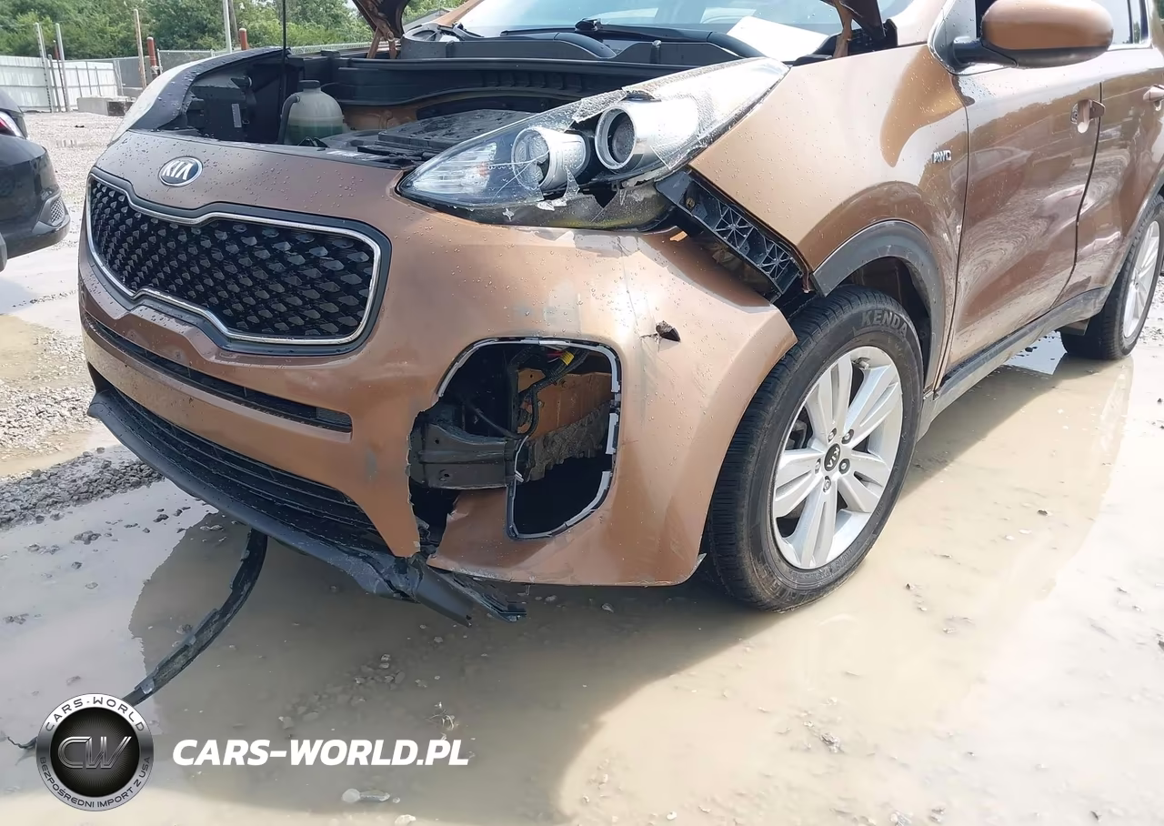 2019 Kia Sportage Lx VIN:KNDPM3AC3K7622020 - 16