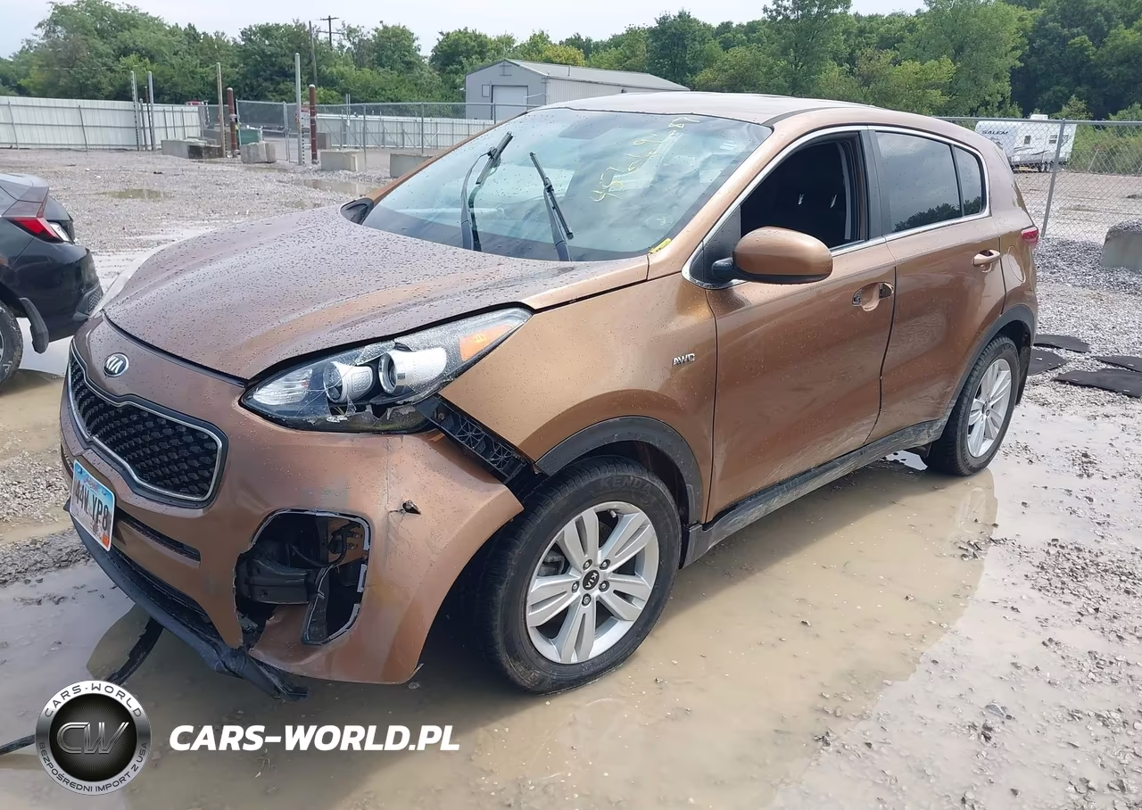 2019 Kia Sportage Lx VIN:KNDPM3AC3K7622020 - 2