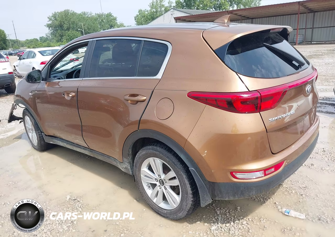 2019 Kia Sportage Lx VIN:KNDPM3AC3K7622020 - 3
