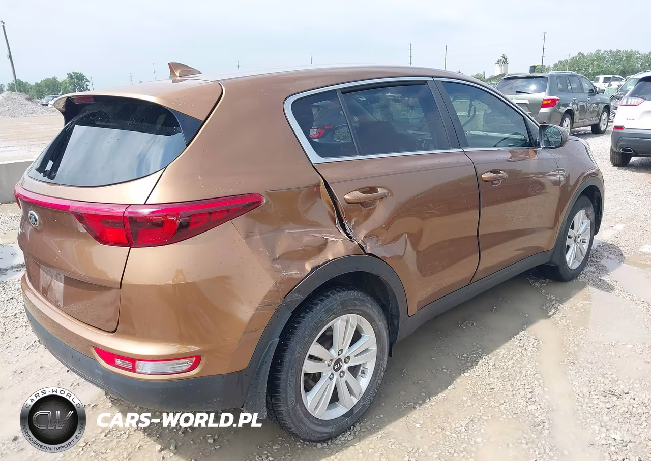 2019 Kia Sportage Lx VIN:KNDPM3AC3K7622020 - 4
