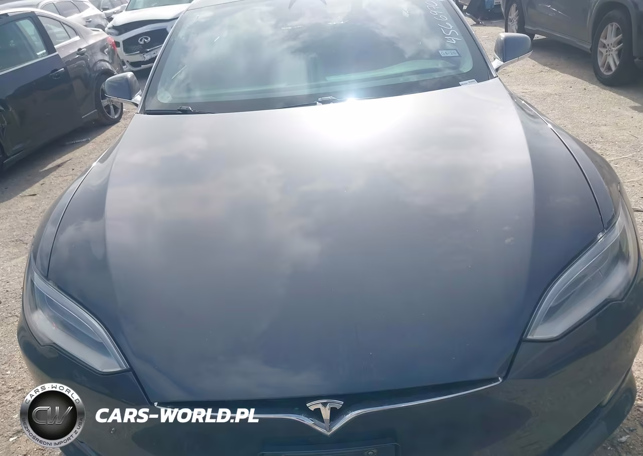 2018 Tesla Model S 100D-75D-P100D VIN:5YJSA1E29JF245288 - 10