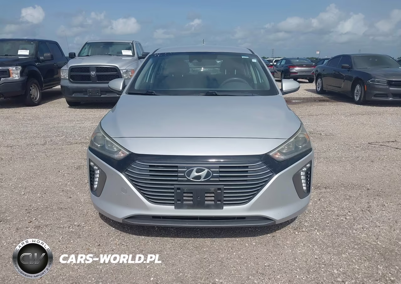 2019 Hyundai Ioniq Hybrid Sel VIN:KMHC75LC2KU106937 - 12