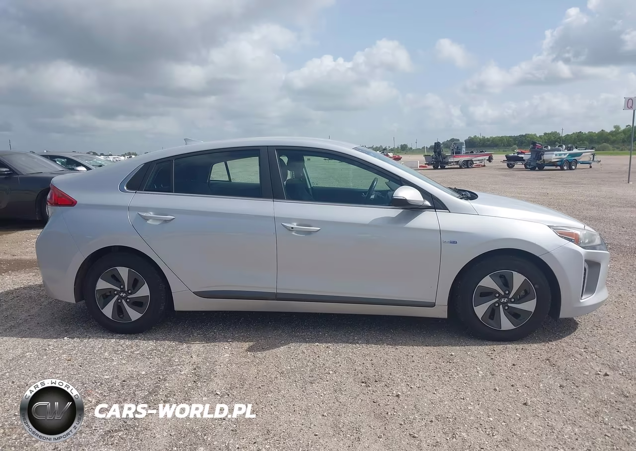 2019 Hyundai Ioniq Hybrid Sel VIN:KMHC75LC2KU106937 - 13