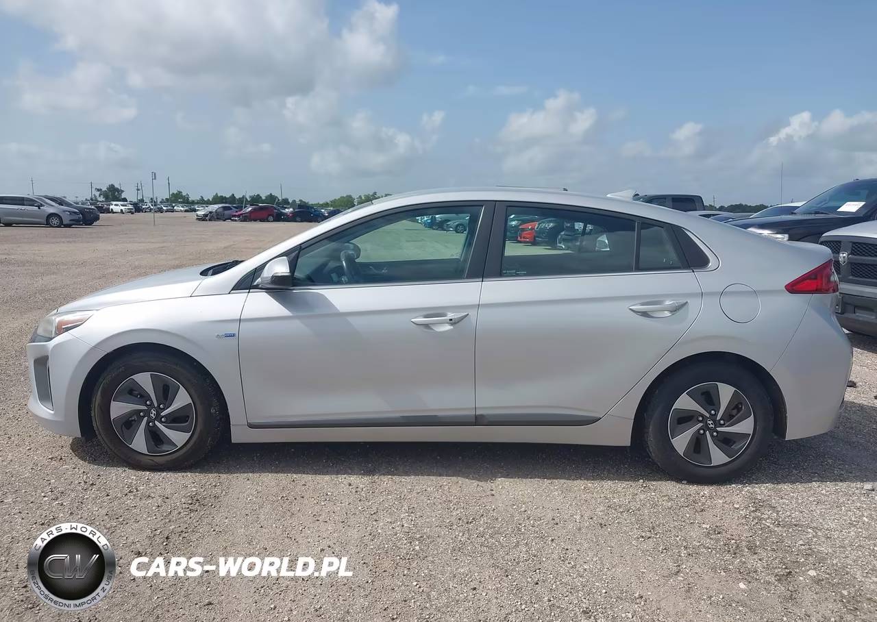 2019 Hyundai Ioniq Hybrid Sel VIN:KMHC75LC2KU106937 - 14