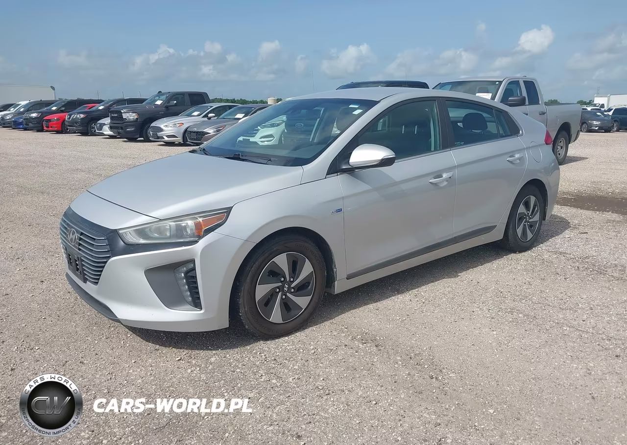 2019 Hyundai Ioniq Hybrid Sel VIN:KMHC75LC2KU106937 - 2