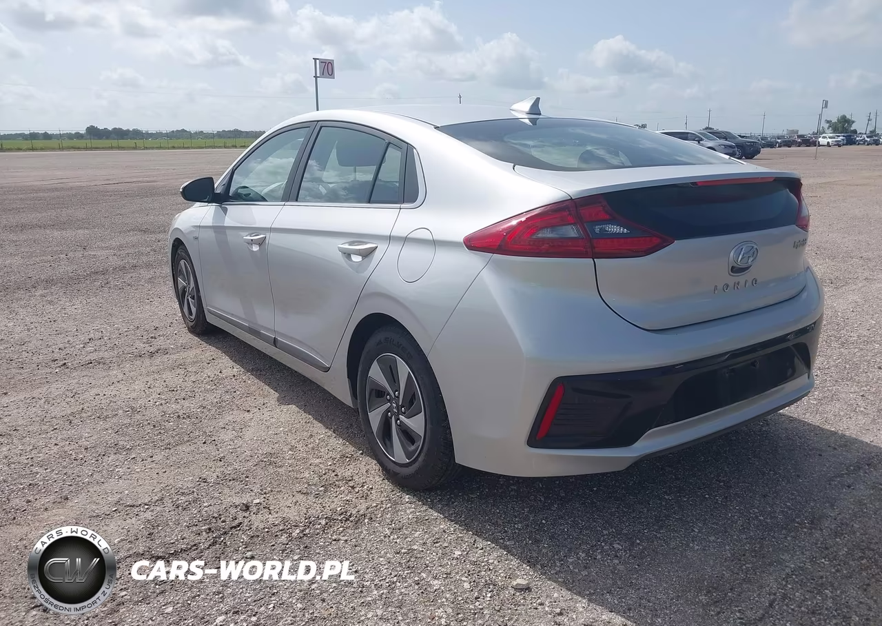 2019 Hyundai Ioniq Hybrid Sel VIN:KMHC75LC2KU106937 - 3