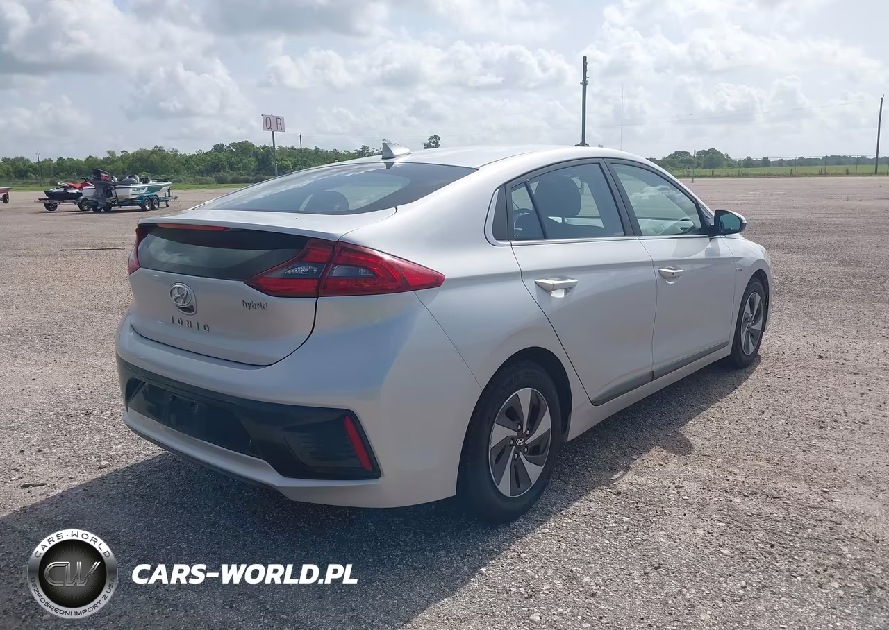 2019 Hyundai Ioniq Hybrid Sel VIN:KMHC75LC2KU106937 - 4