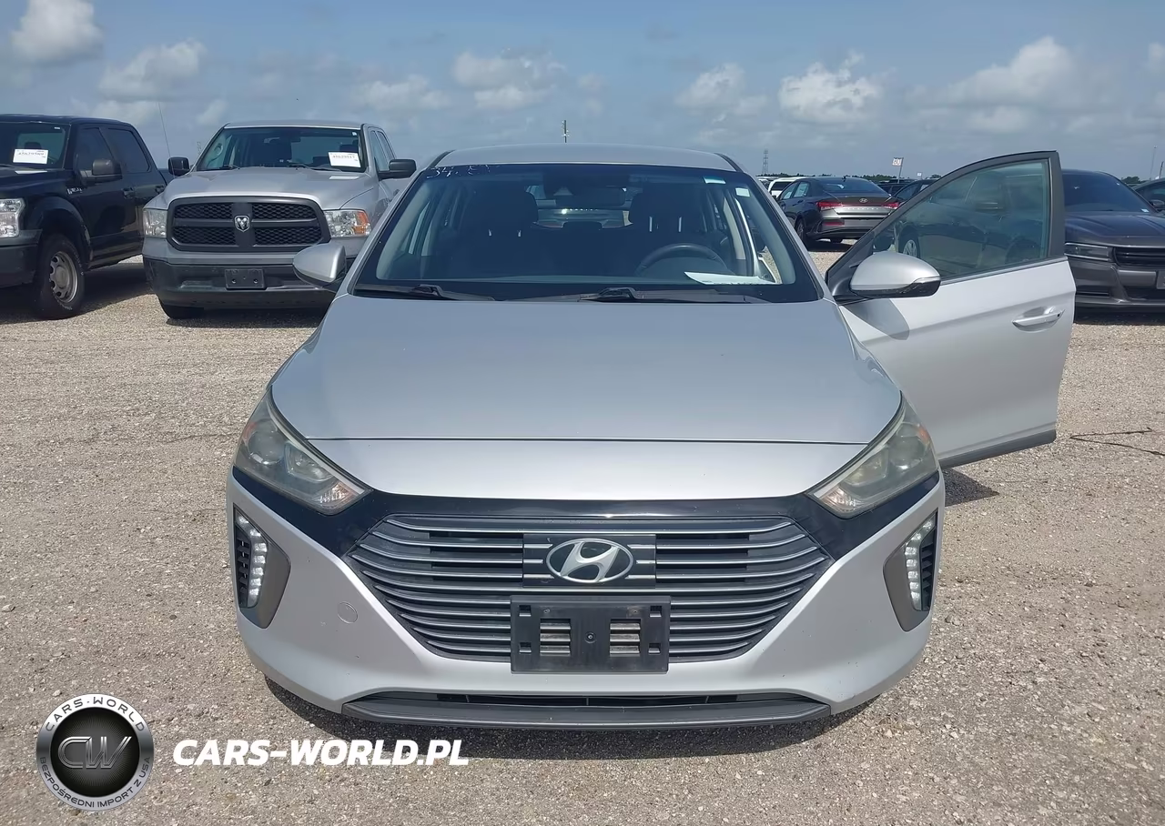 2019 Hyundai Ioniq Hybrid Sel VIN:KMHC75LC2KU106937 - 6