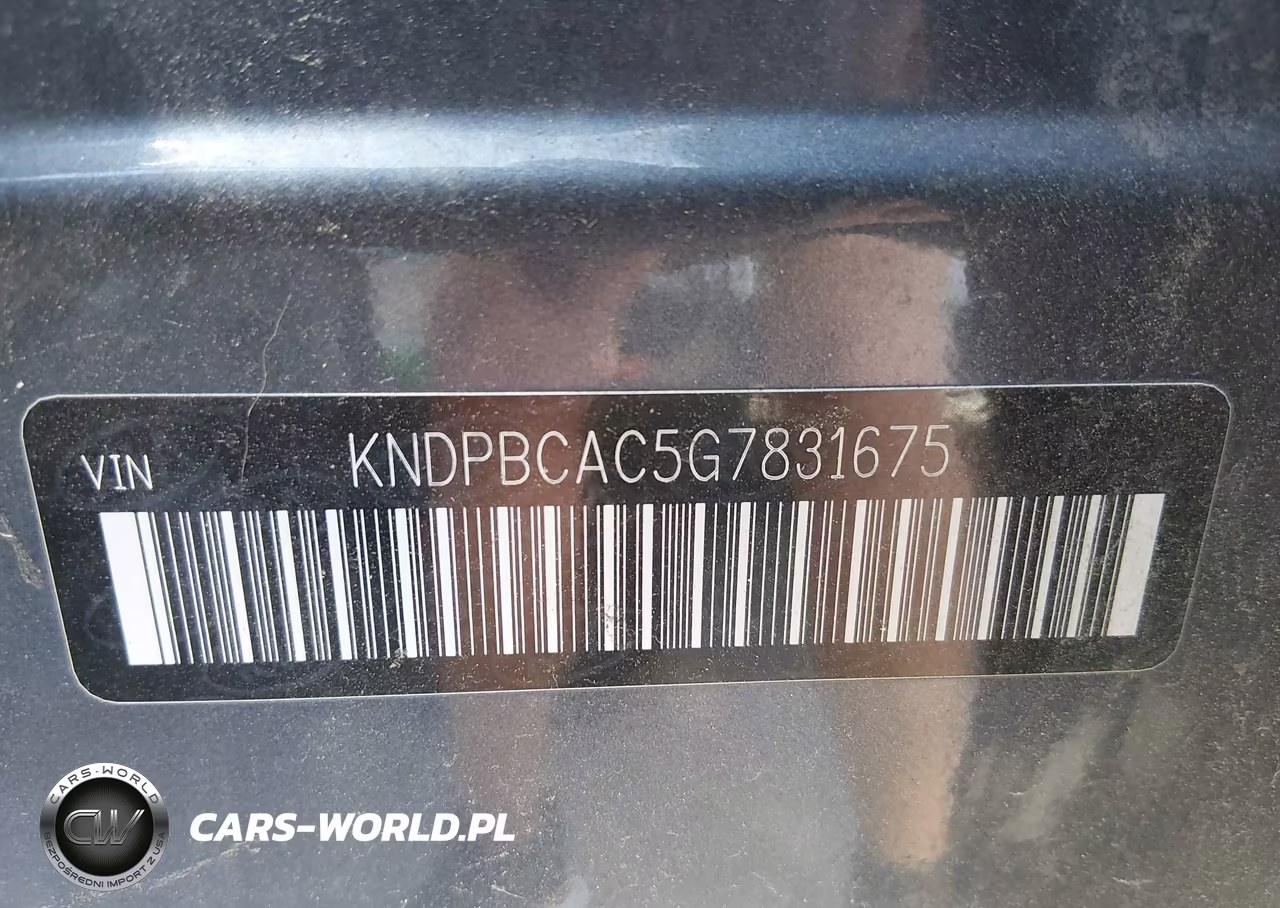 2016 Kia Sportage Lx VIN:KNDPBCAC5G7831675 - 9