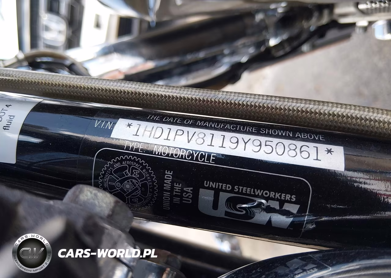 2009 Harley-Davidson Fltrse3 VIN:1HD1PV8119Y950861 - 10