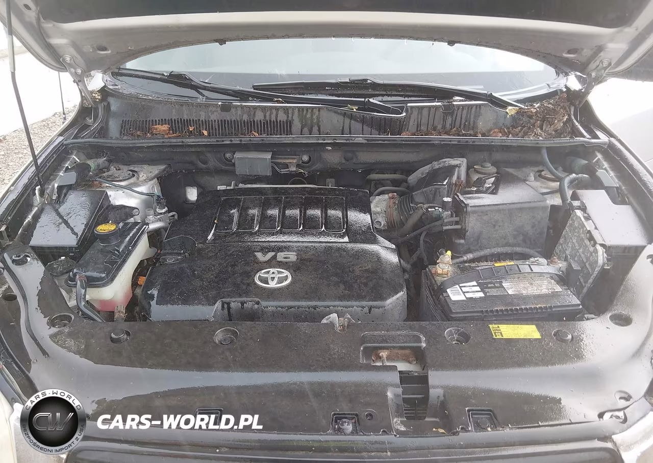 2007 Toyota Rav4 Base V6 (A5) VIN:JTMZK33V175015484 - 10