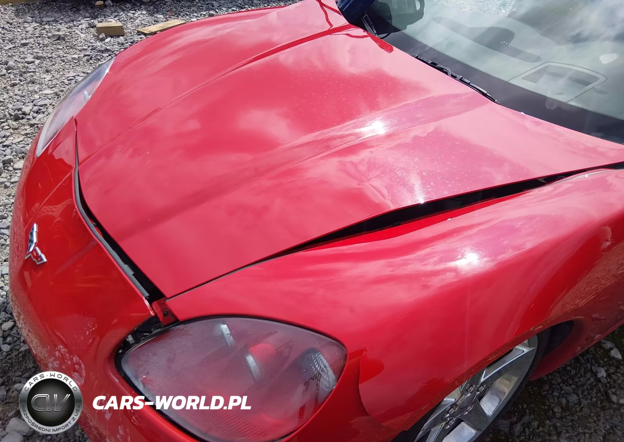2005 Chevrolet Corvette VIN:1G1YY24U455129592 - 10