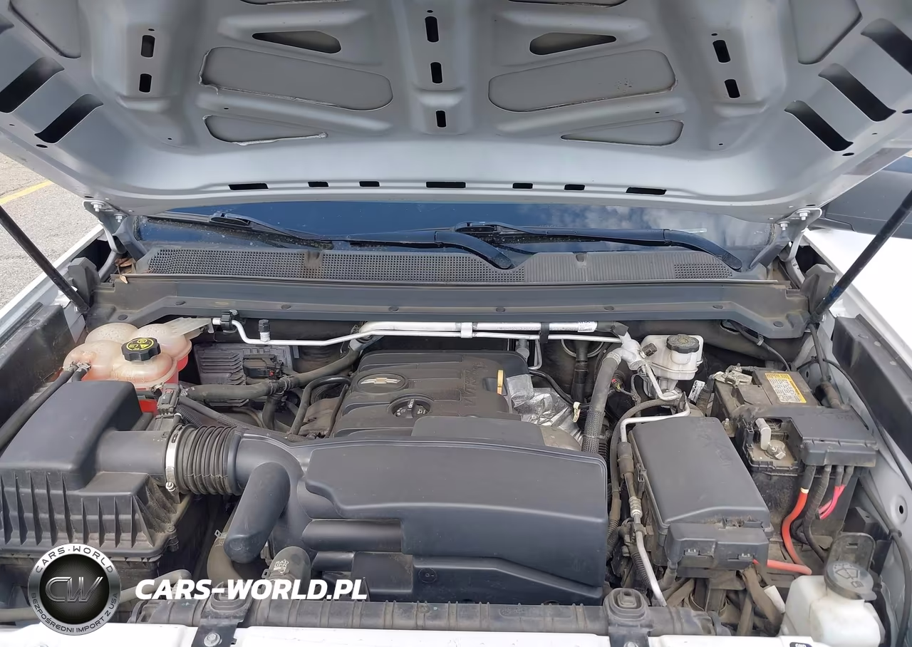 2020 Chevrolet Colorado 2Wd Long Box Wt VIN:1GCHSBEA8L1225341 - 10