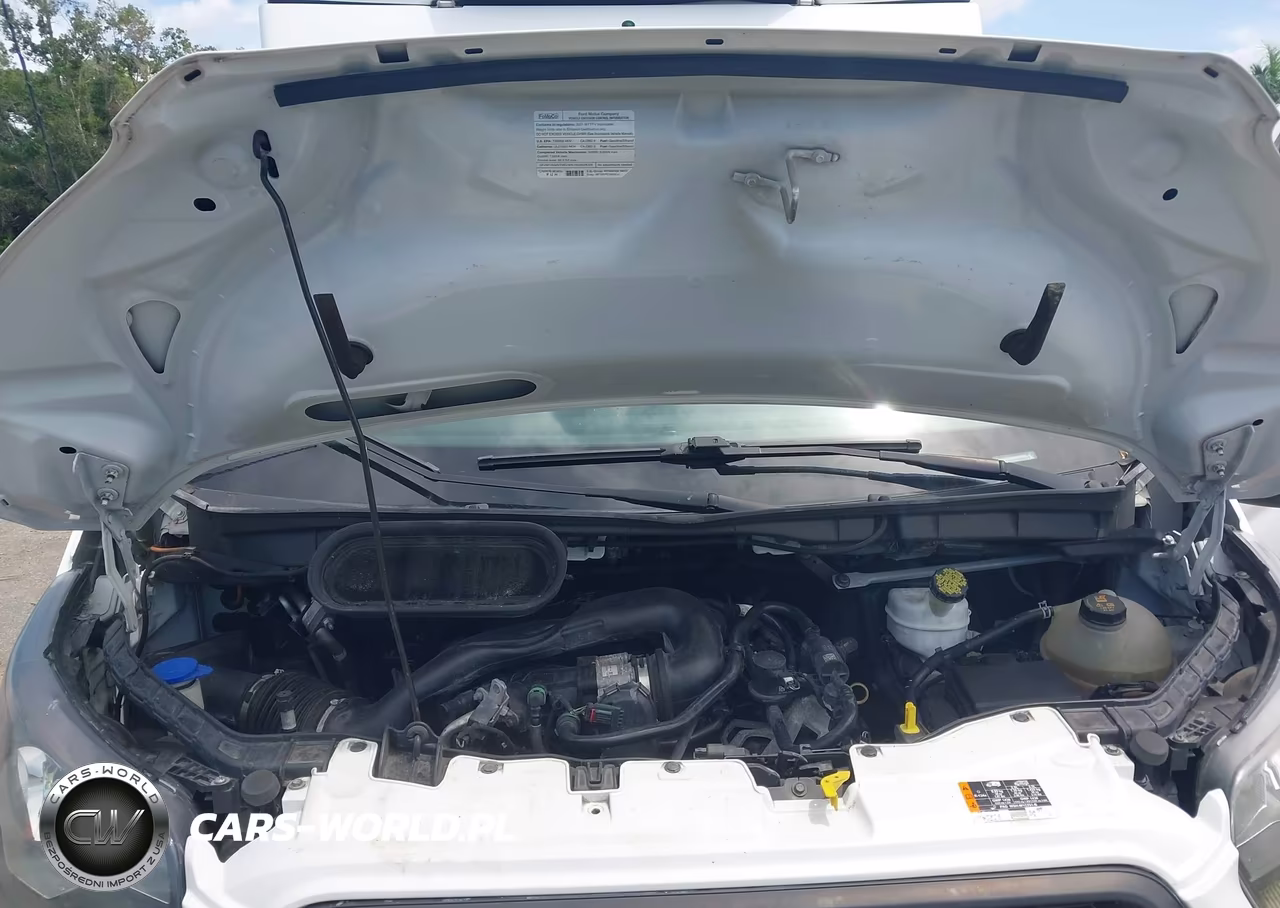 2021 Ford Transit-350 Cab VIN:1FDBW5Z86MKA84389 - 10
