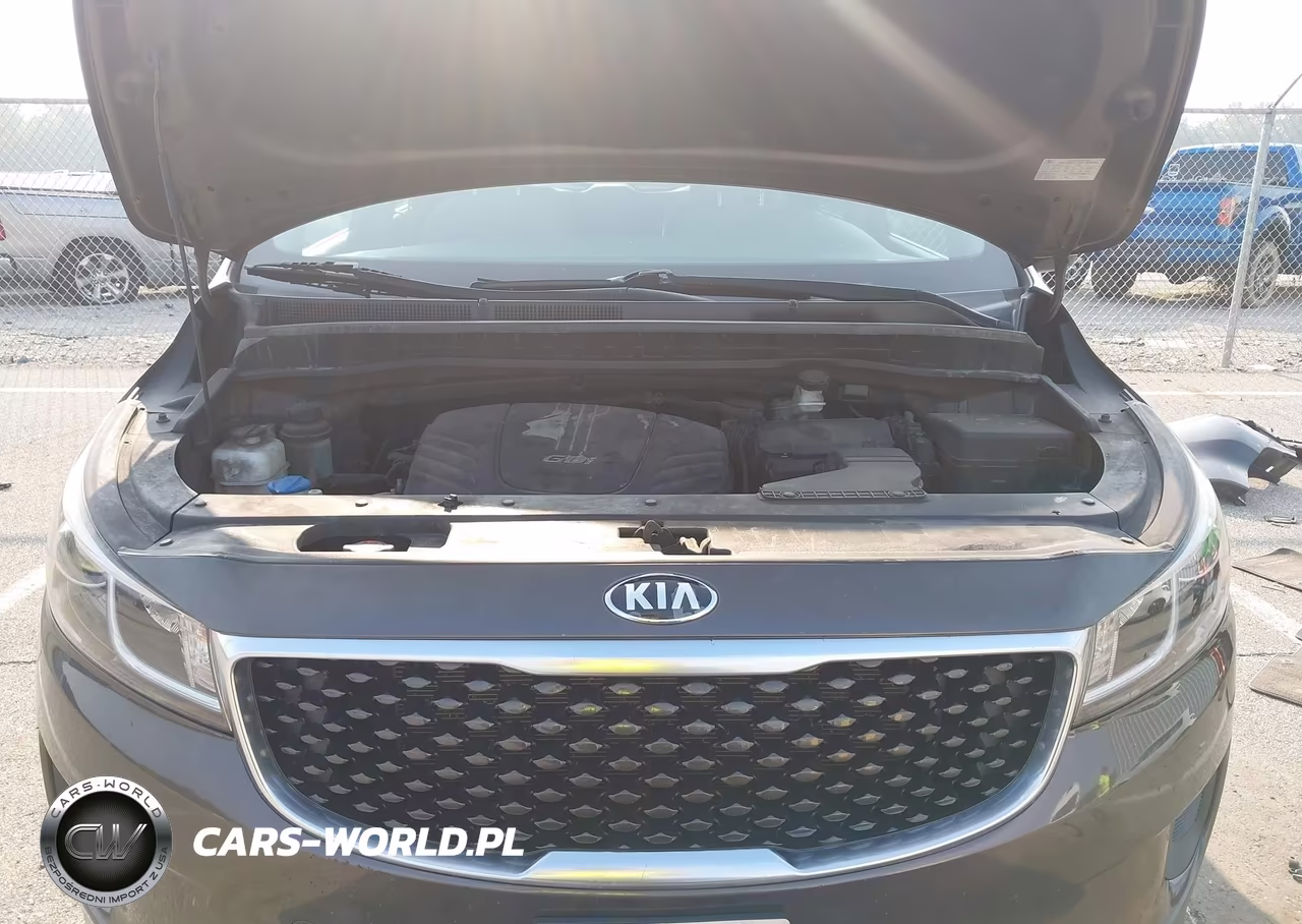 2016 Kia Sedona Lx VIN:KNDMB5C11G6165897 - 10