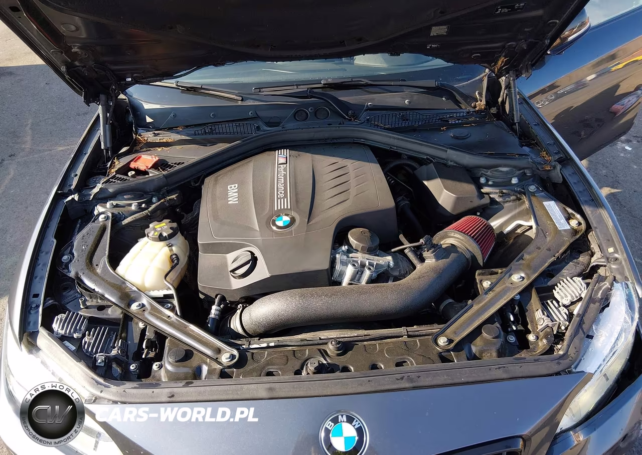 2016 BMW M235I xDrive VIN:WBA1M5C58GV327124 - 10