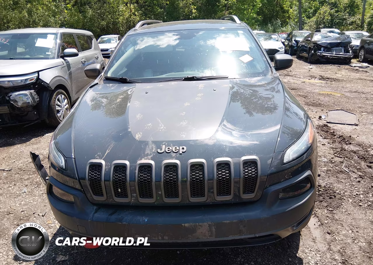 2017 Jeep Cherokee Trailhawk VIN:1C4PJMBS6HW510170 - 13