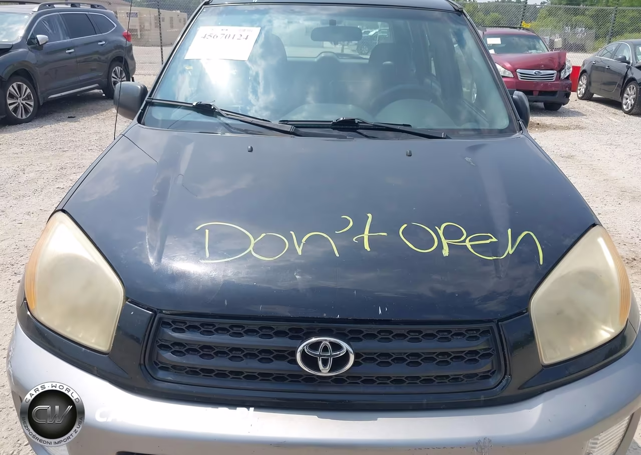 2003 Toyota Rav4 VIN:JTEGH20V530117572 - 10