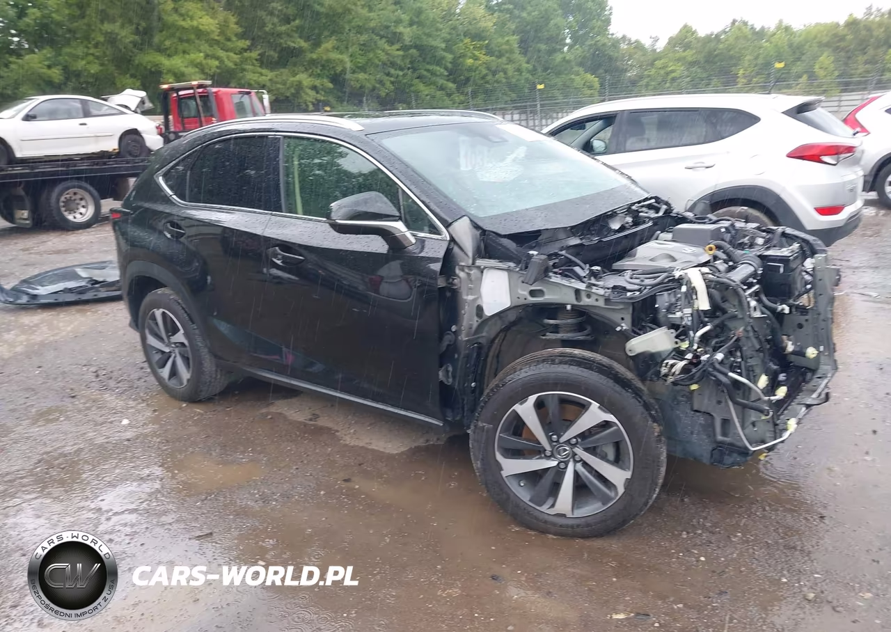 2020 Lexus Nx 300