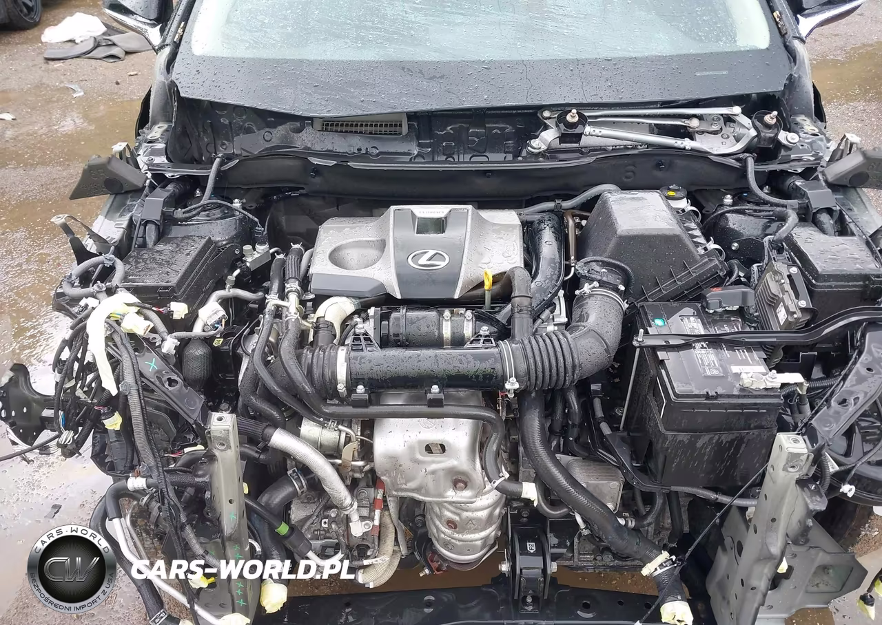 2020 Lexus Nx 300 VIN:JTJGARDZ2L5003673 - 10