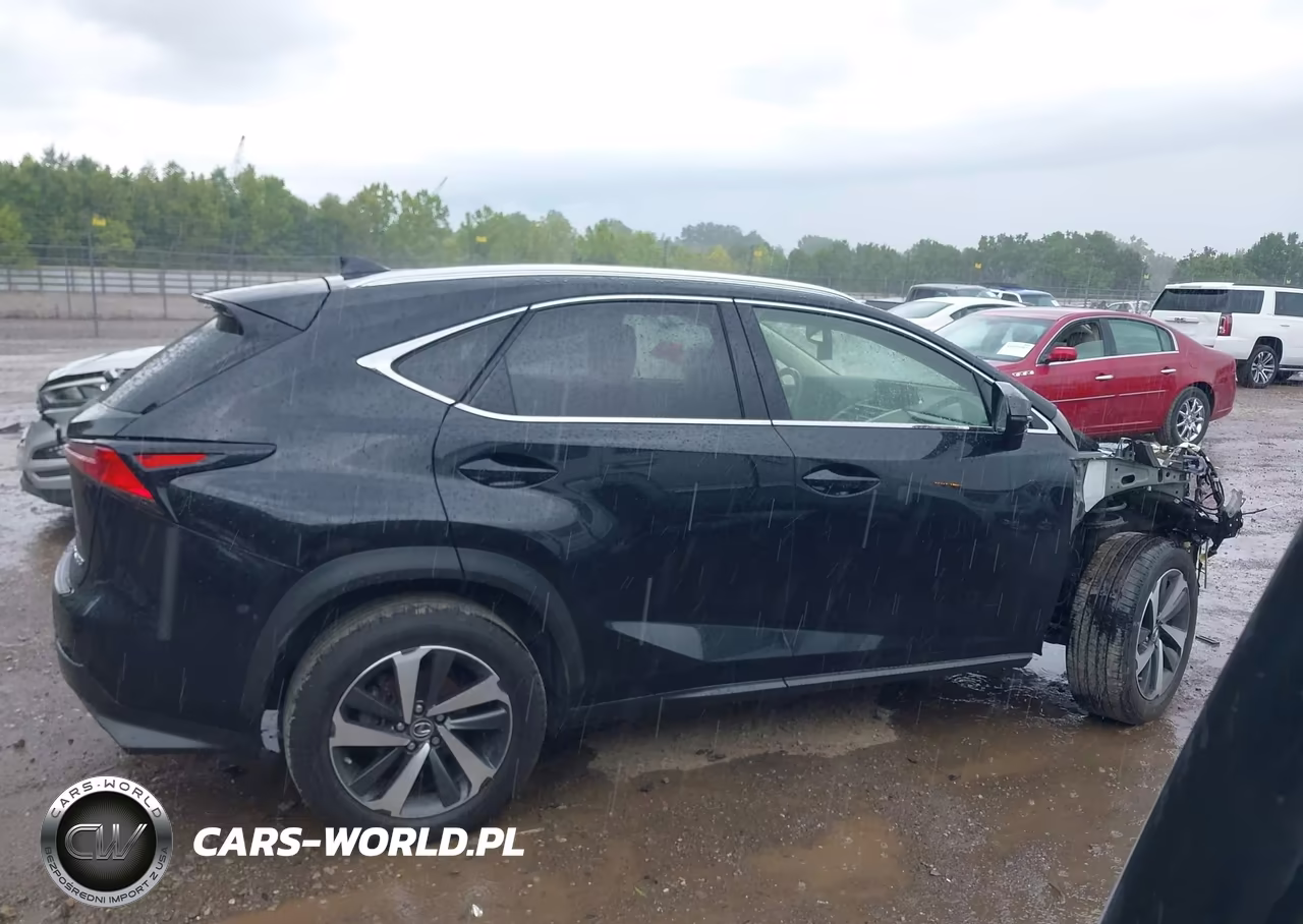 2020 Lexus Nx 300 VIN:JTJGARDZ2L5003673 - 14