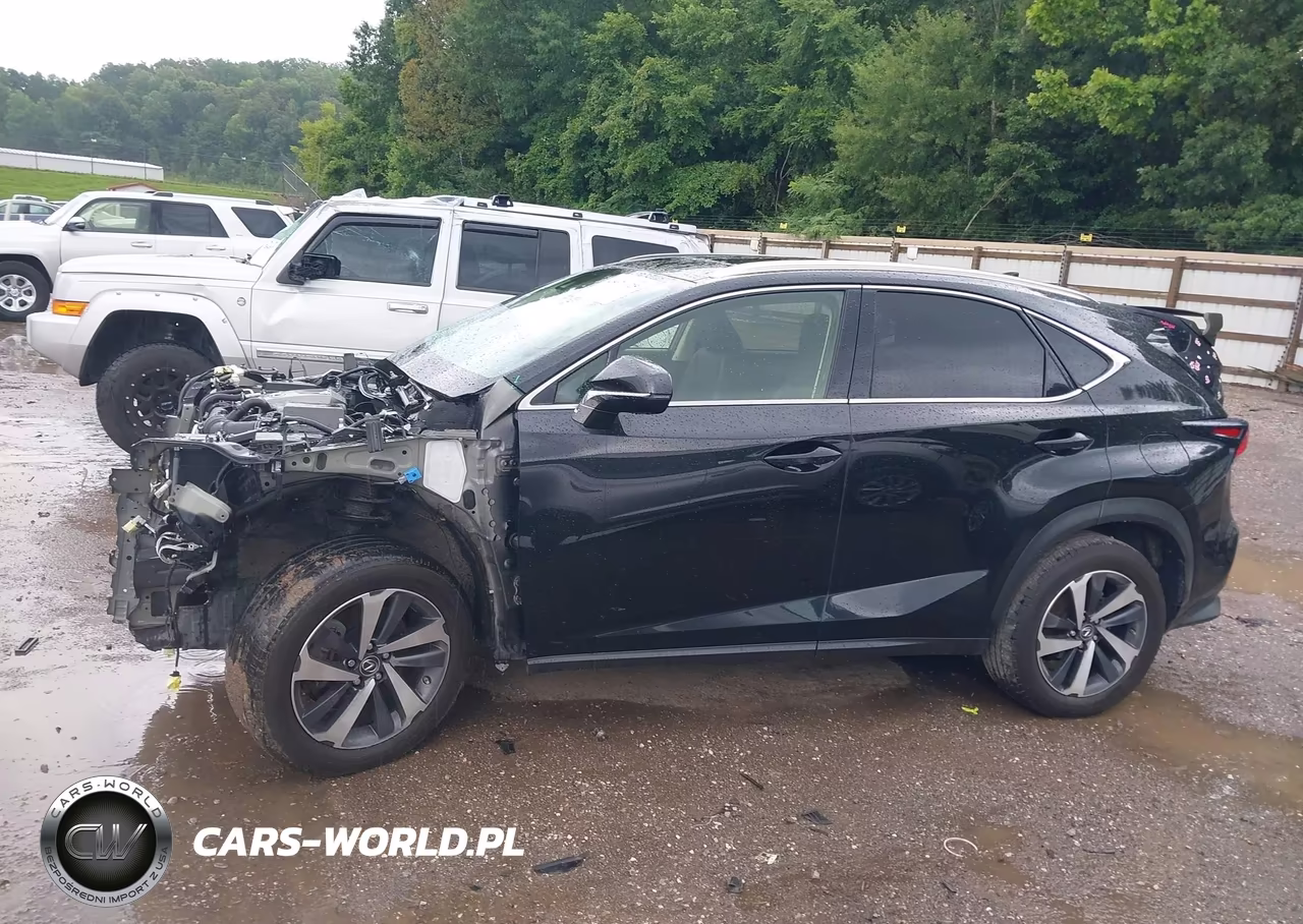 2020 Lexus Nx 300 VIN:JTJGARDZ2L5003673 - 15