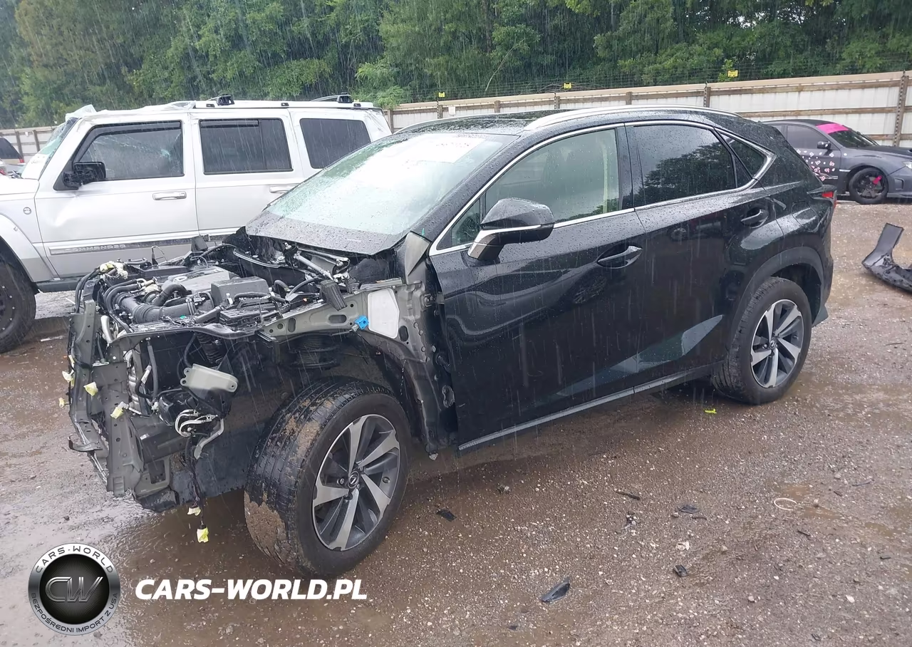 2020 Lexus Nx 300 VIN:JTJGARDZ2L5003673 - 2