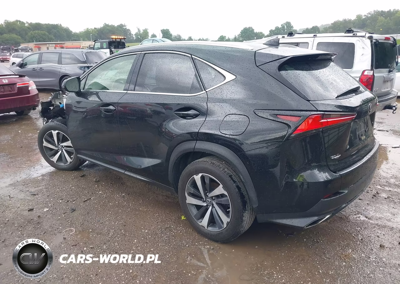 2020 Lexus Nx 300 VIN:JTJGARDZ2L5003673 - 3