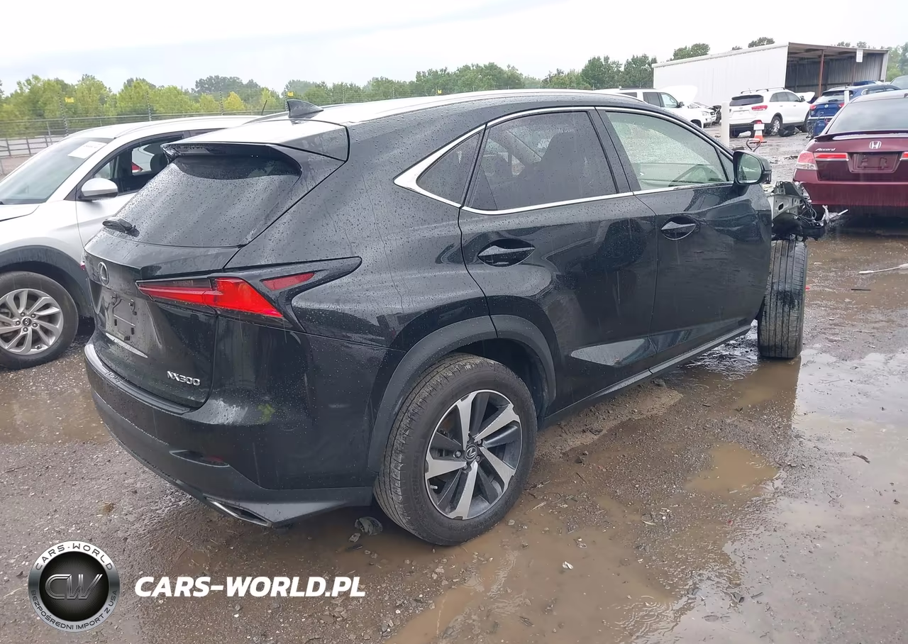 2020 Lexus Nx 300 VIN:JTJGARDZ2L5003673 - 4