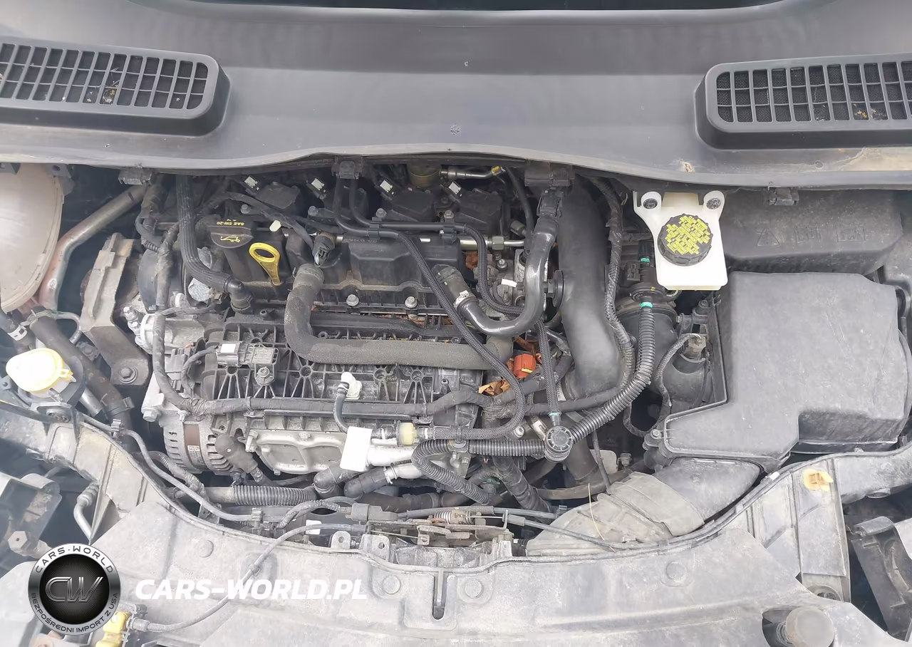 2019 Ford Escape Se VIN:1FMCU9GDXKUC11888 - 10
