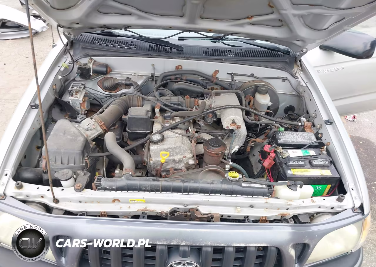 2004 Toyota Tacoma VIN:5TENL42N44Z342117 - 10