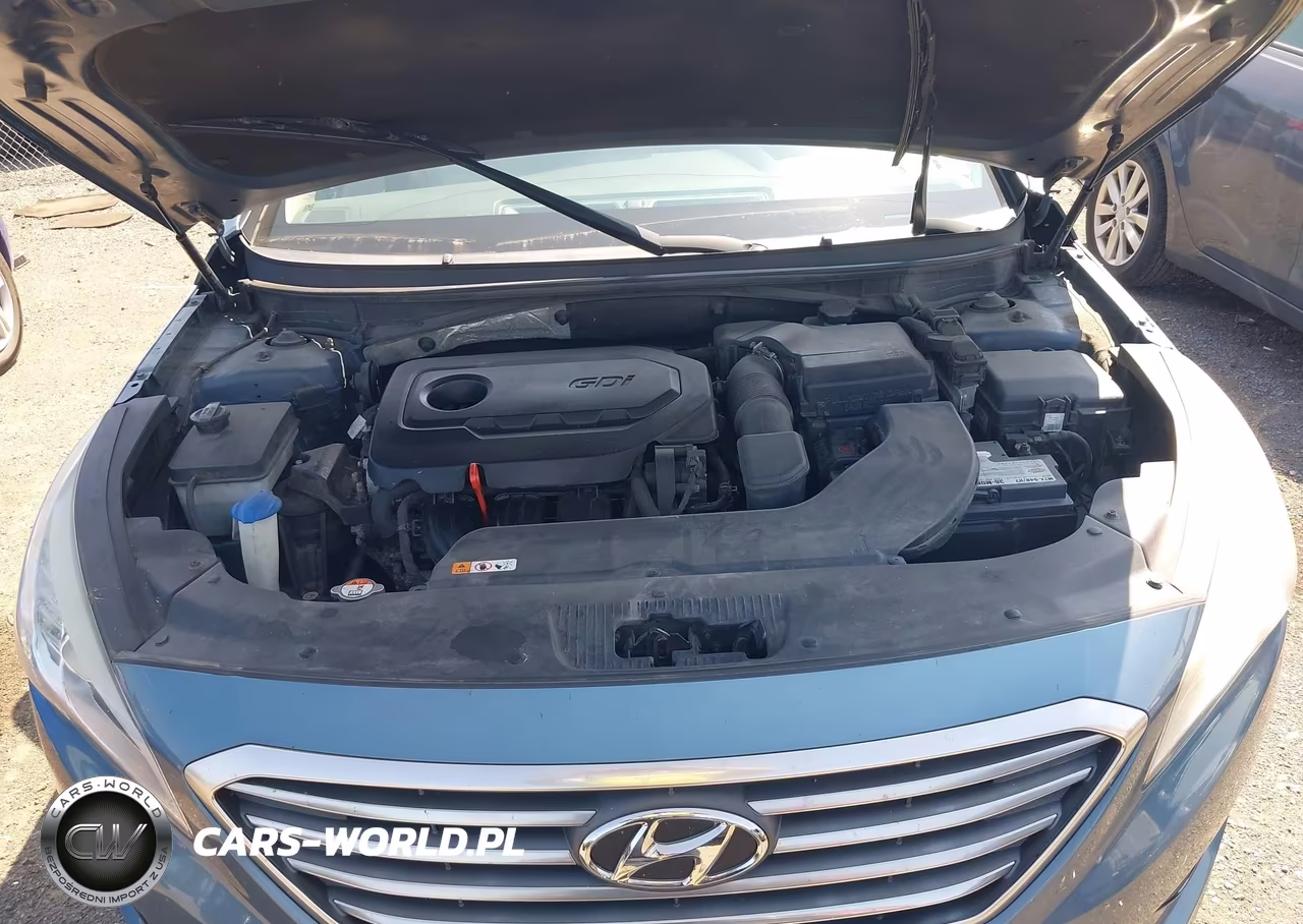 2016 Hyundai Sonata Se VIN:5NPE24AFXGH424714 - 10