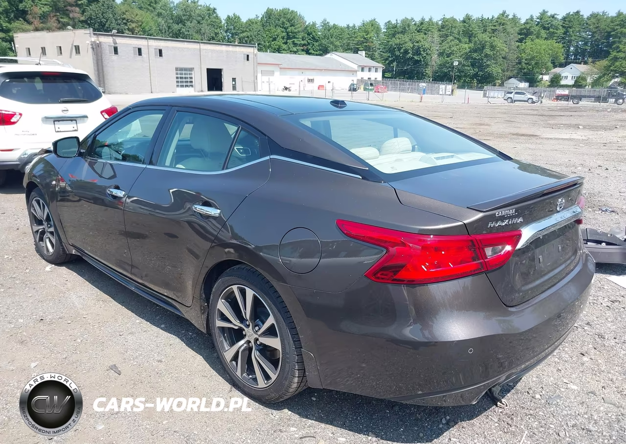 2016 Nissan Maxima 3.5 Platinum VIN:1N4AA6AP0GC385011 - 3