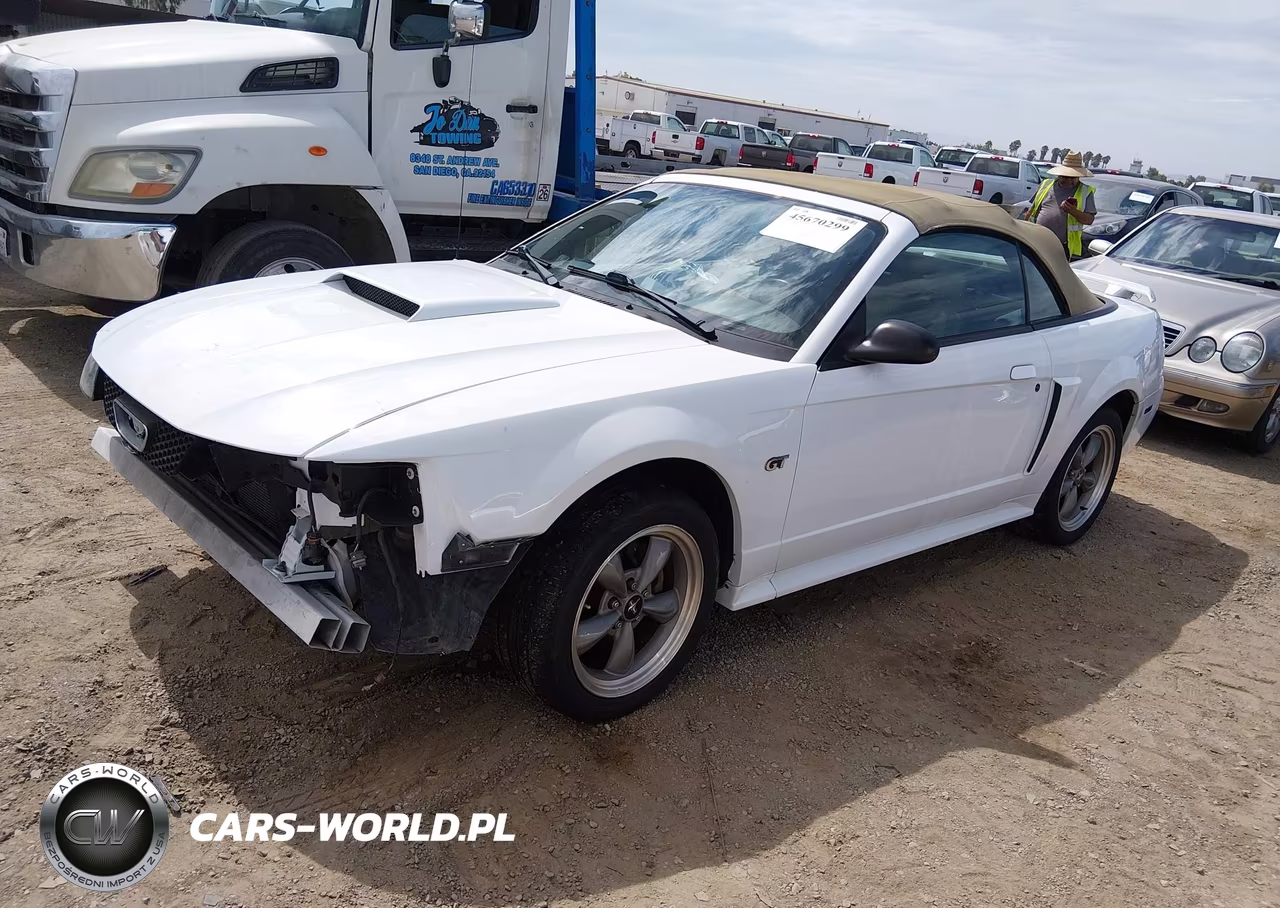 2001 Ford Mustang Gt VIN:1FAFP45X71F189933 - 2