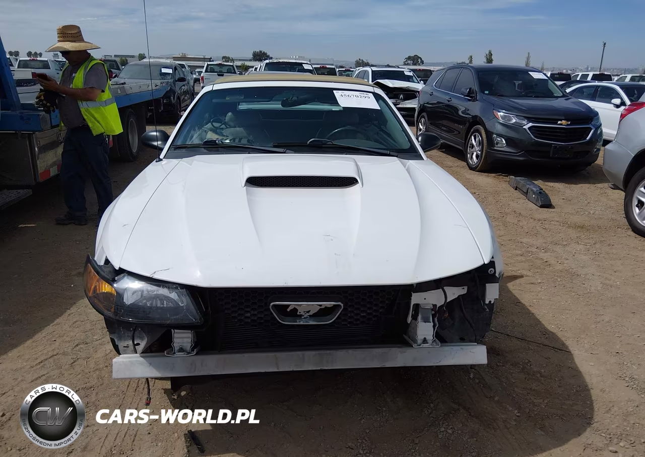 2001 Ford Mustang Gt VIN:1FAFP45X71F189933 - 6