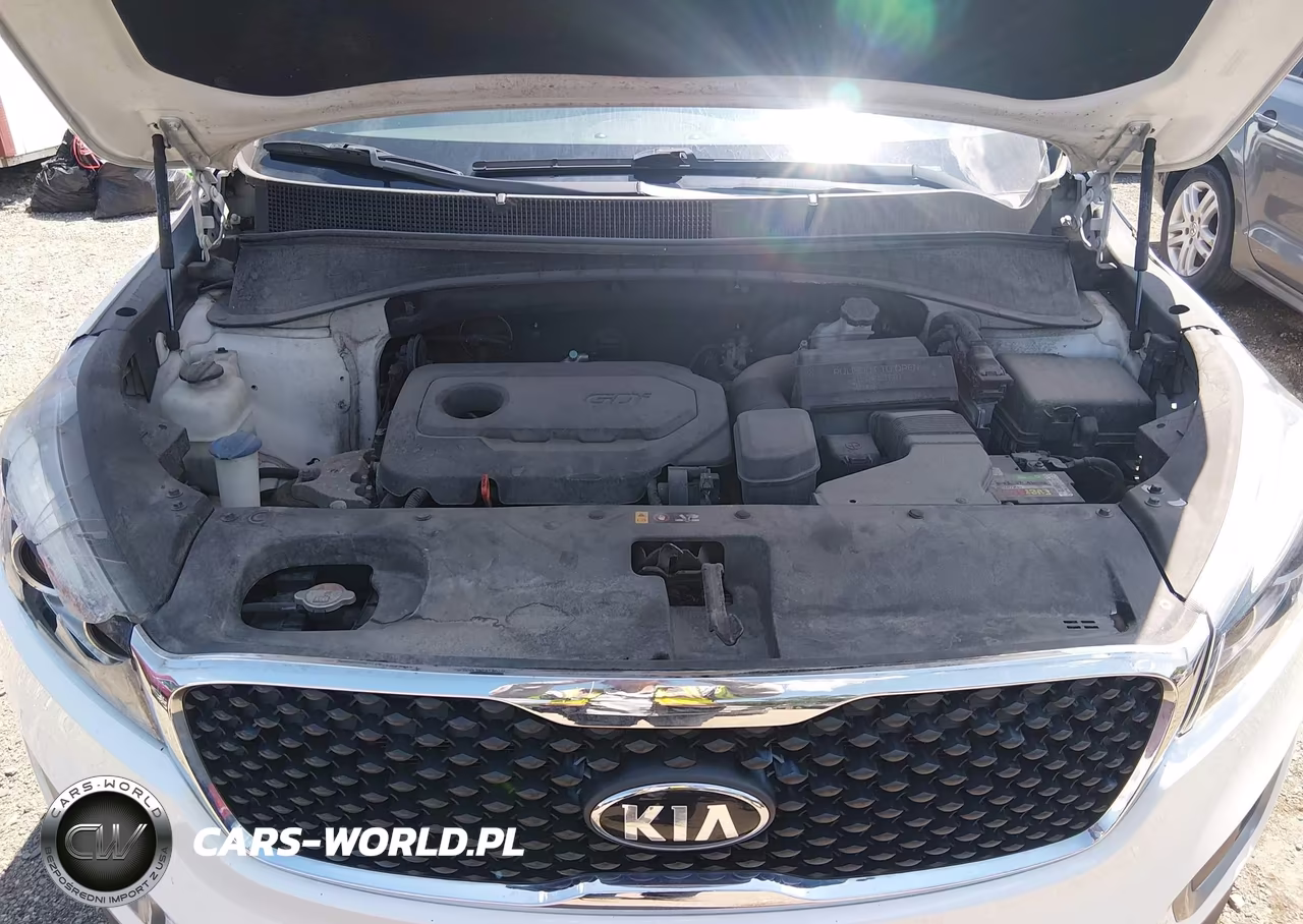 2017 Kia Sorento 2.4L Lx VIN:5XYPG4A32HG322266 - 10