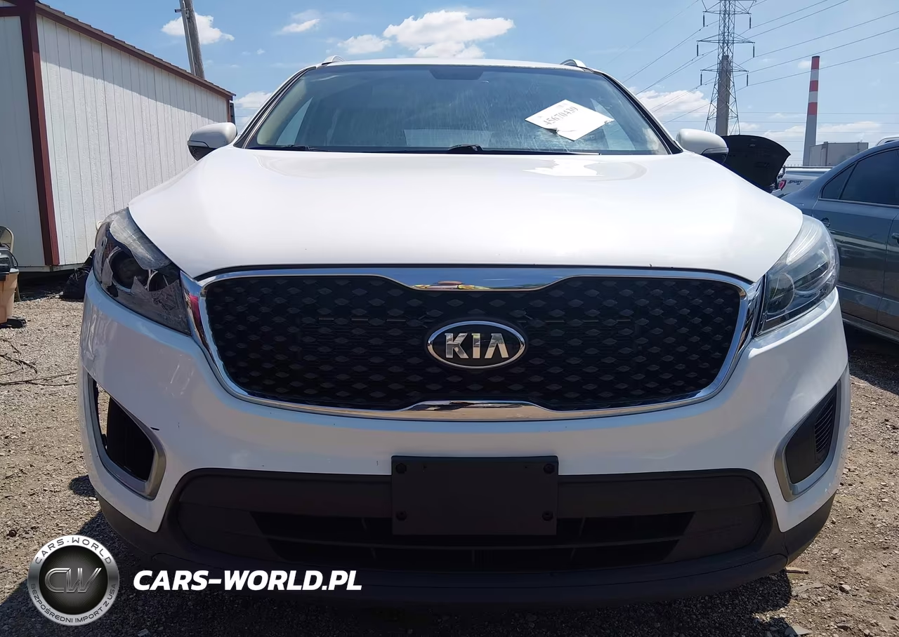 2017 Kia Sorento 2.4L Lx VIN:5XYPG4A32HG322266 - 12