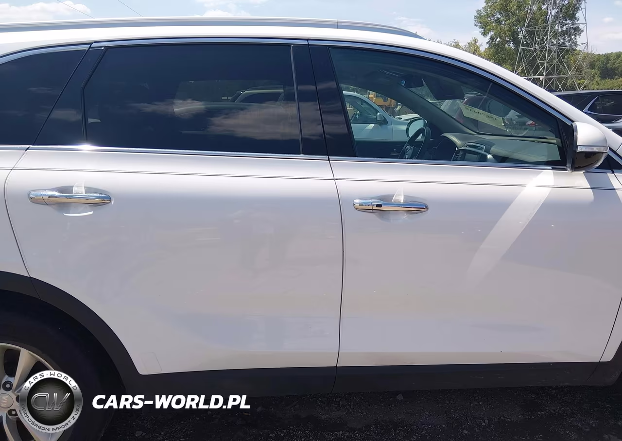 2017 Kia Sorento 2.4L Lx VIN:5XYPG4A32HG322266 - 13