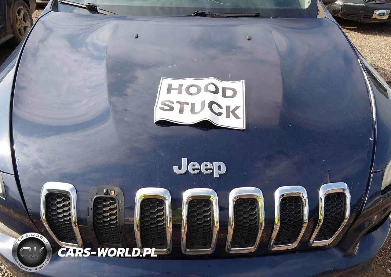 2014 Jeep Cherokee Latitude VIN:1C4PJLCS9EW273694 - 10