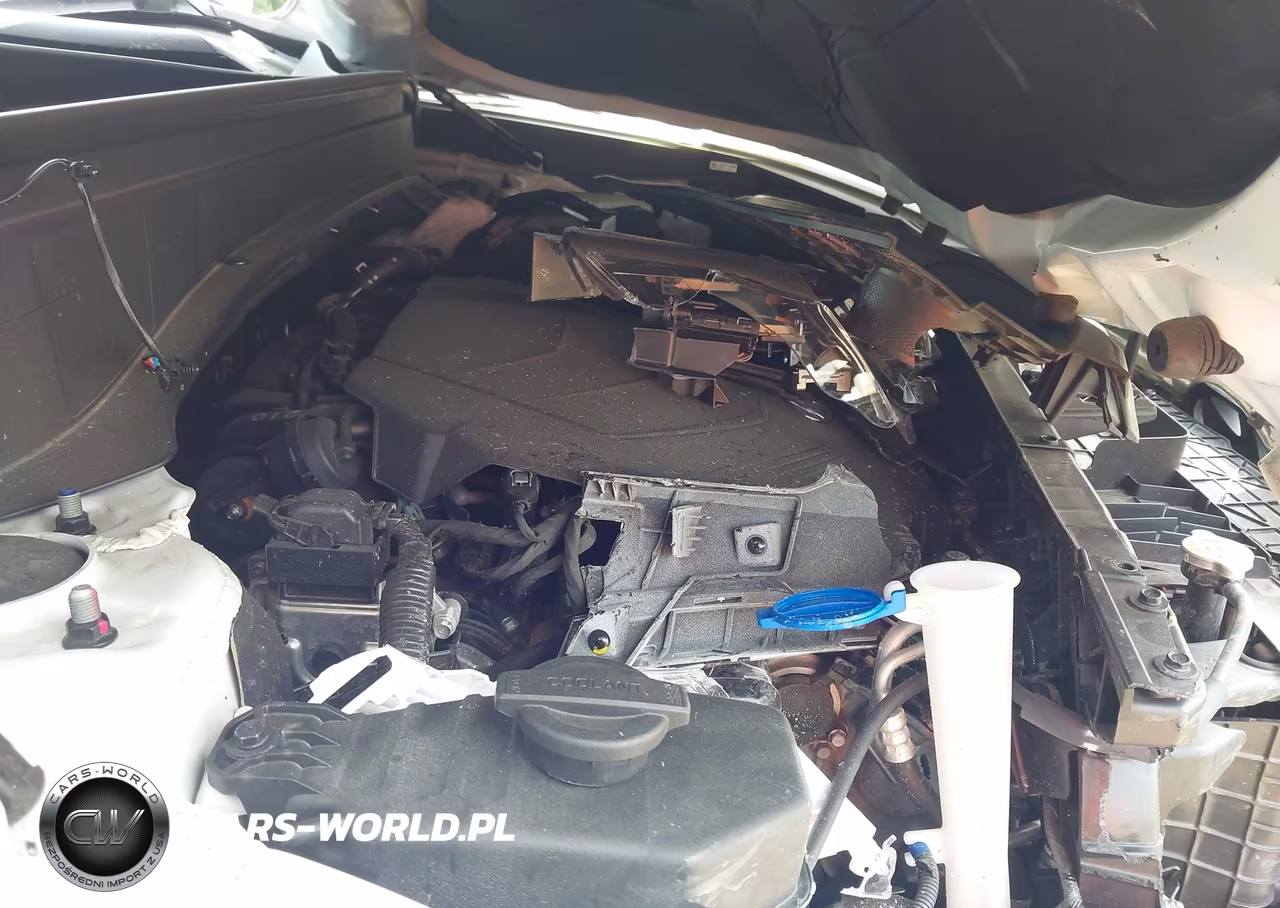 2023 Hyundai Palisade Sel VIN:KM8R4DGE0PU636808 - 10