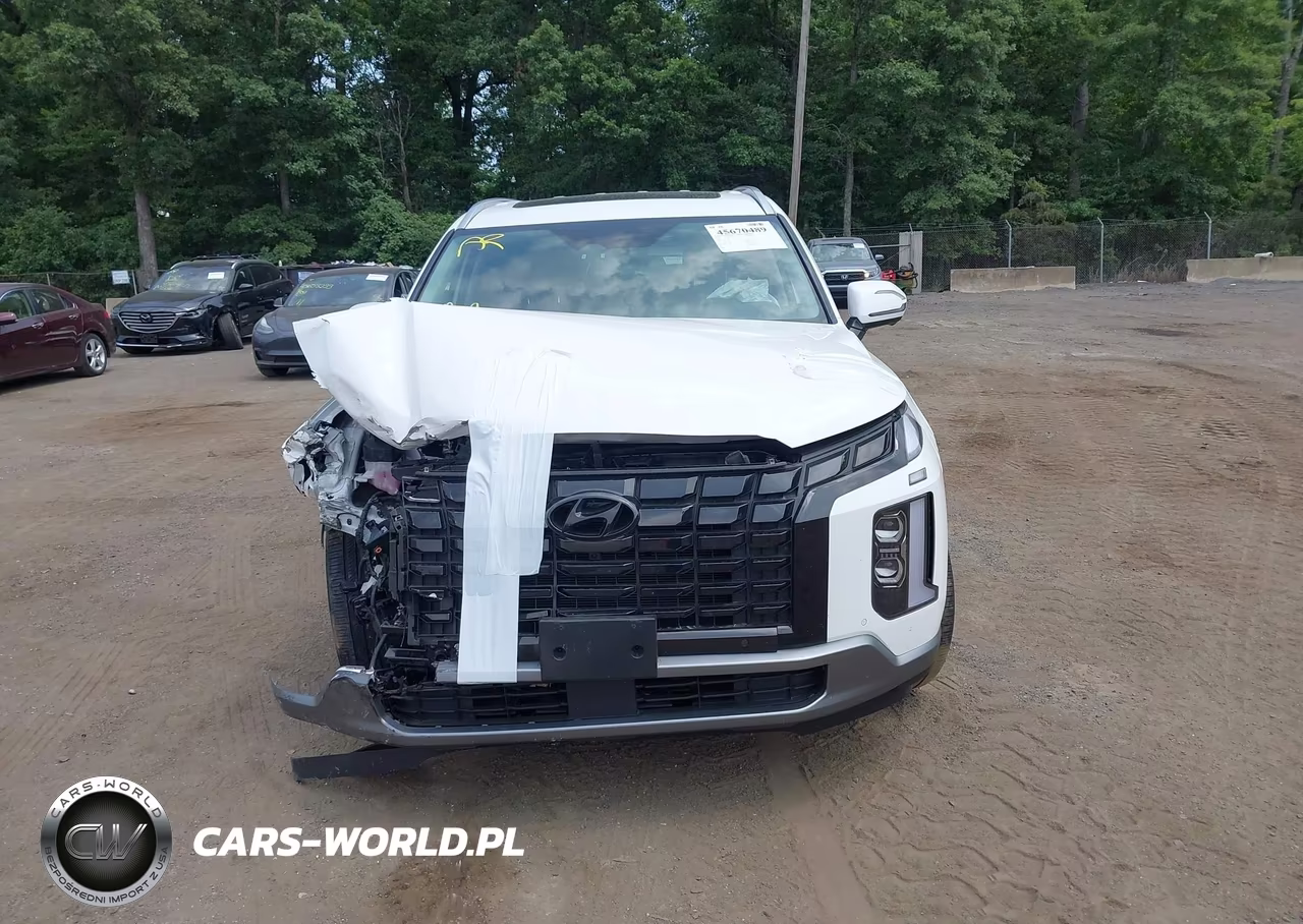 2023 Hyundai Palisade Sel VIN:KM8R4DGE0PU636808 - 12