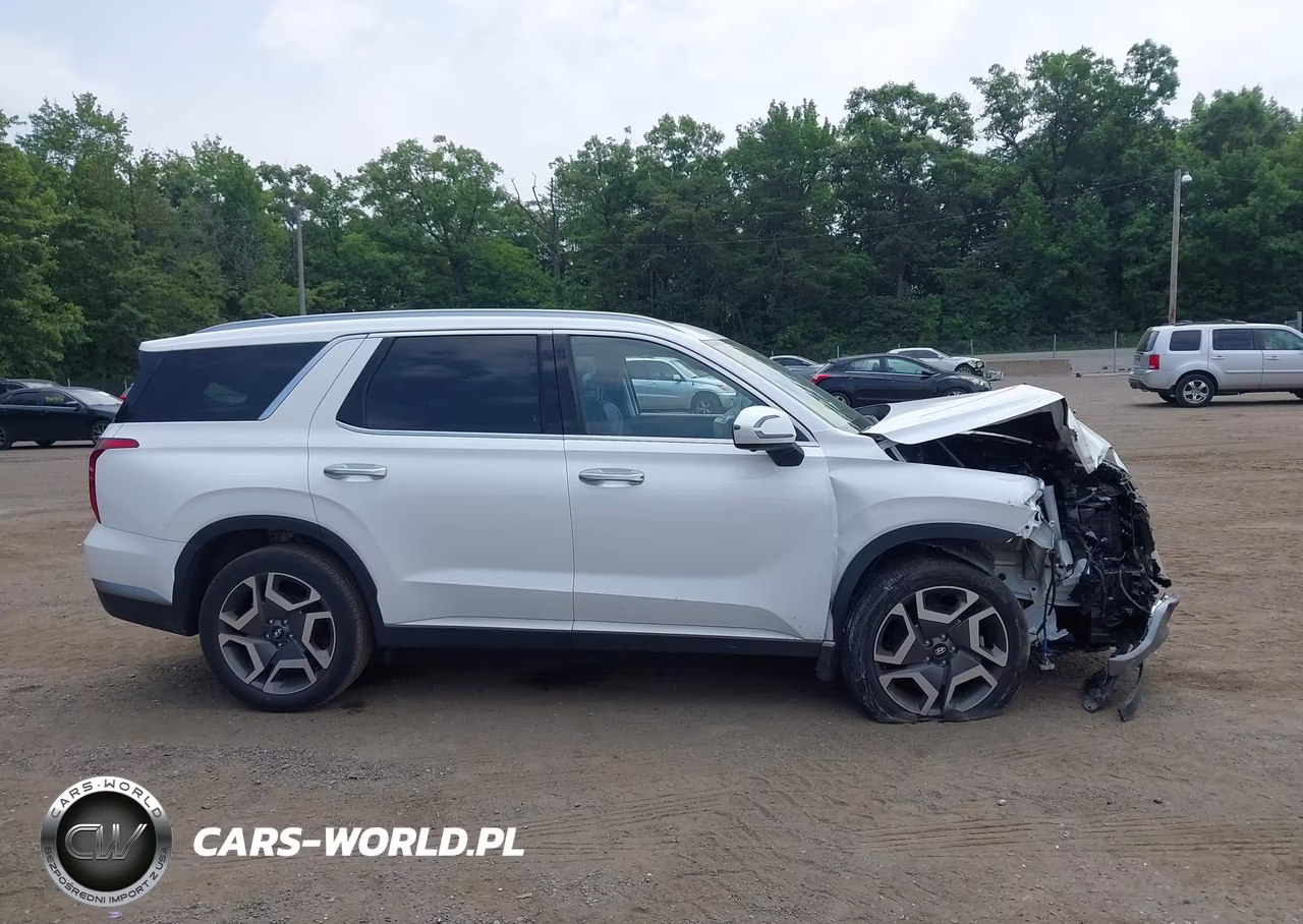 2023 Hyundai Palisade Sel VIN:KM8R4DGE0PU636808 - 13