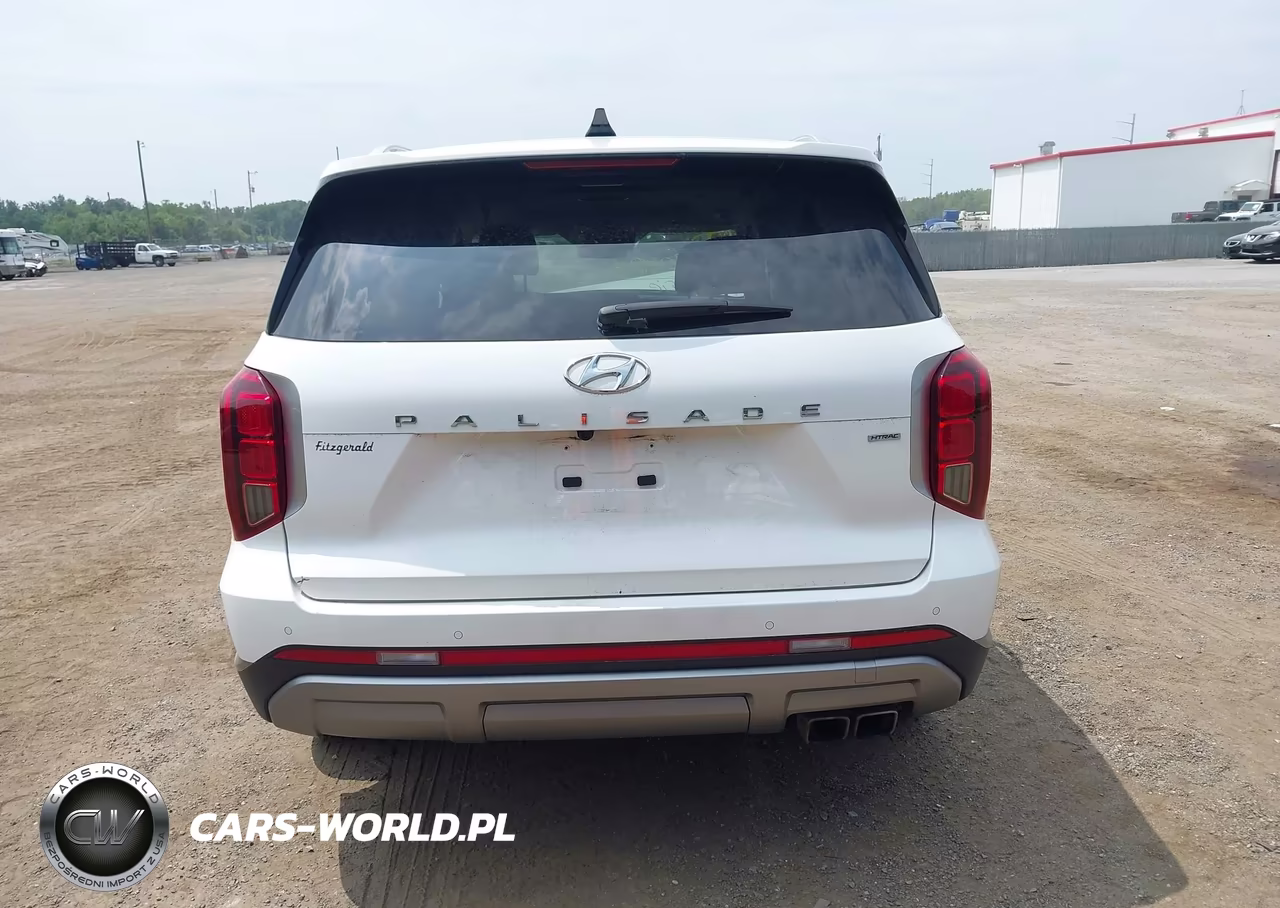 2023 Hyundai Palisade Sel VIN:KM8R4DGE0PU636808 - 16